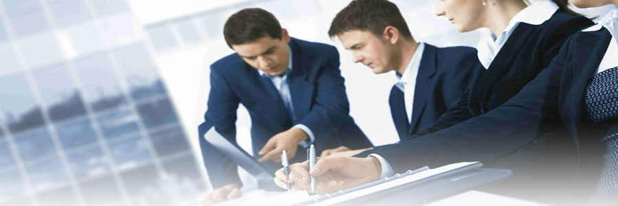 COMPANY LAW SERVICES